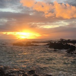 Meet your Posher, Willow